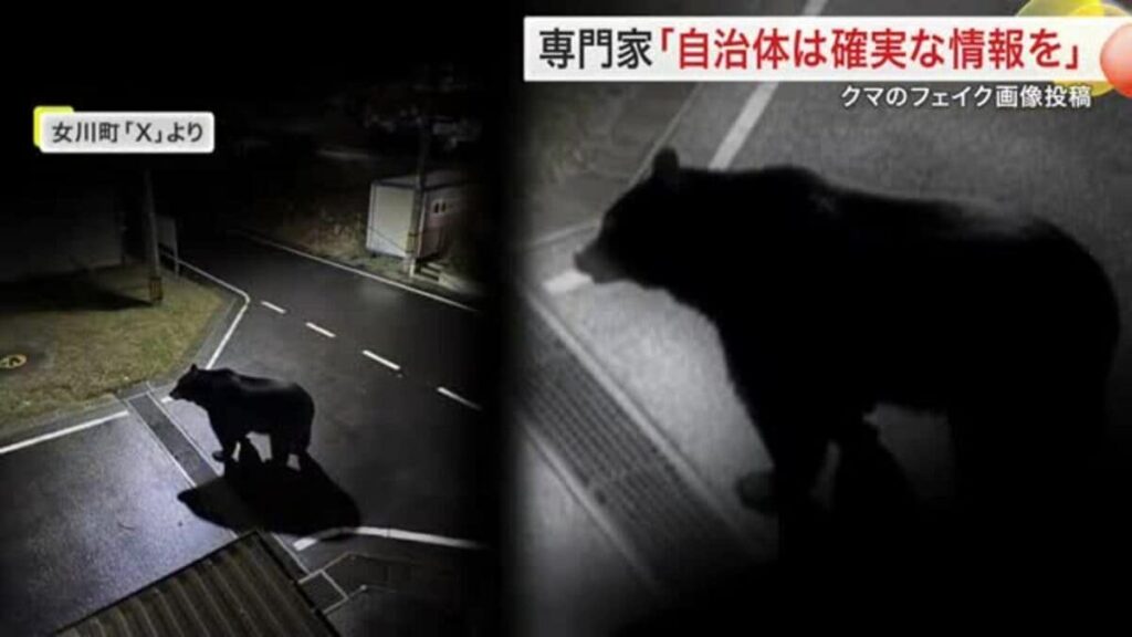 【（・(ｪ)・）】外国籍従業員が共有のクマ出没「フェイク画像」　注意喚起で町の公式SNS投稿　専門家は情報発信の責任指摘　宮城・女川町