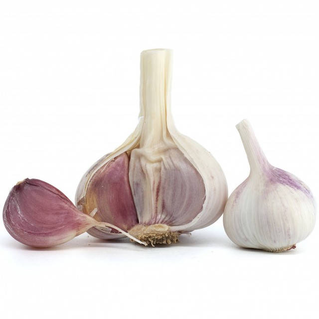 ニンニク抽出のマウスウォッシュ、強力な殺菌効果が判明　UAEの大学研究チーム