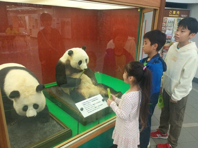 日本に迫る「ゼロパンダ」危機 ラスト2頭も来年返還期限 高市政権でどうなる?