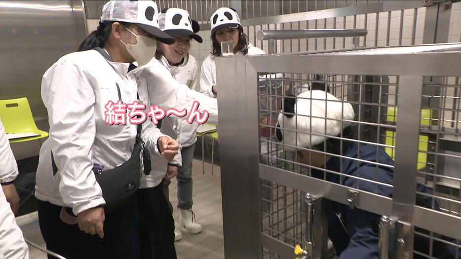 白浜町、パンダの被り物した飼育員に笹の葉を食べさせるイベントを開催してしまう…